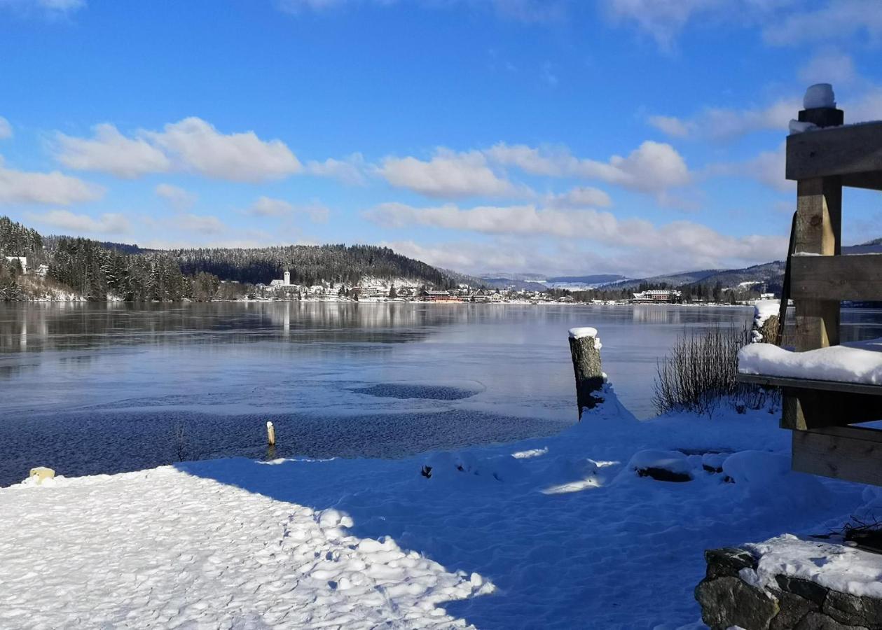 Ferienwohnung Vogelnescht19 Titisee-Neustadt Exterior foto